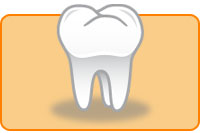 歯の長期安定について